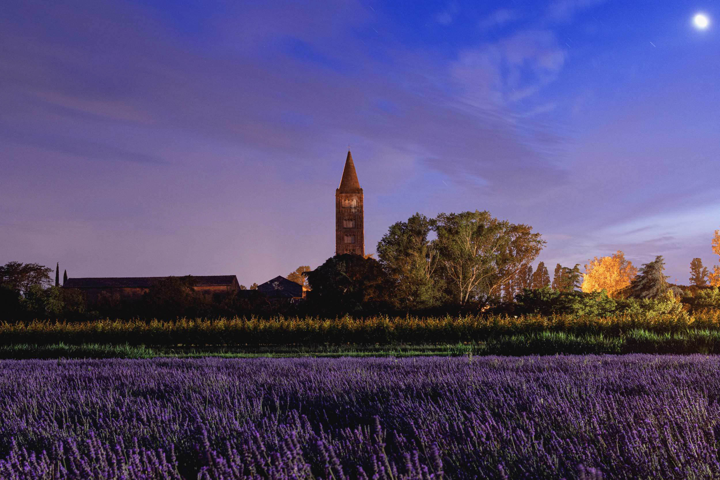 Abbazia di pomposa vista da un campo di lavanda