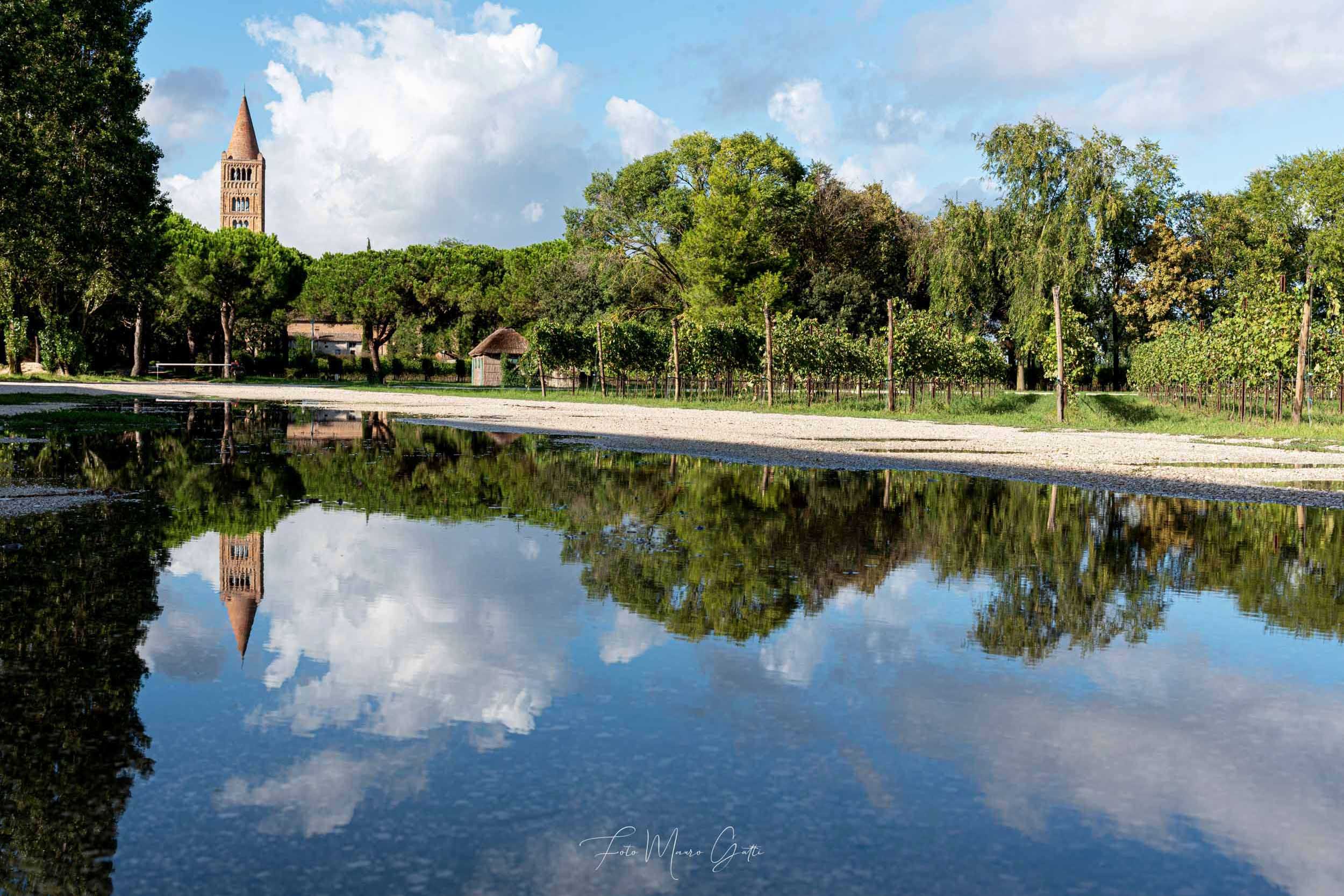 Vigna dell'abbazia di pomposa riflessa nell'acqua